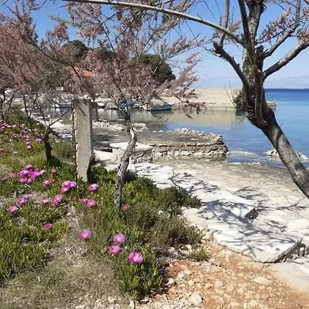 Apartment Renatare - Close To Sea Ugljan